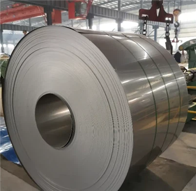 ASTM 317L bobin asye pur