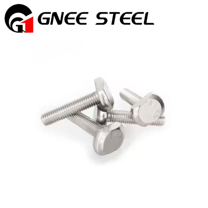 Stainless Steel T Bolts